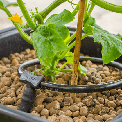 plantit hydroponic dripper ring 