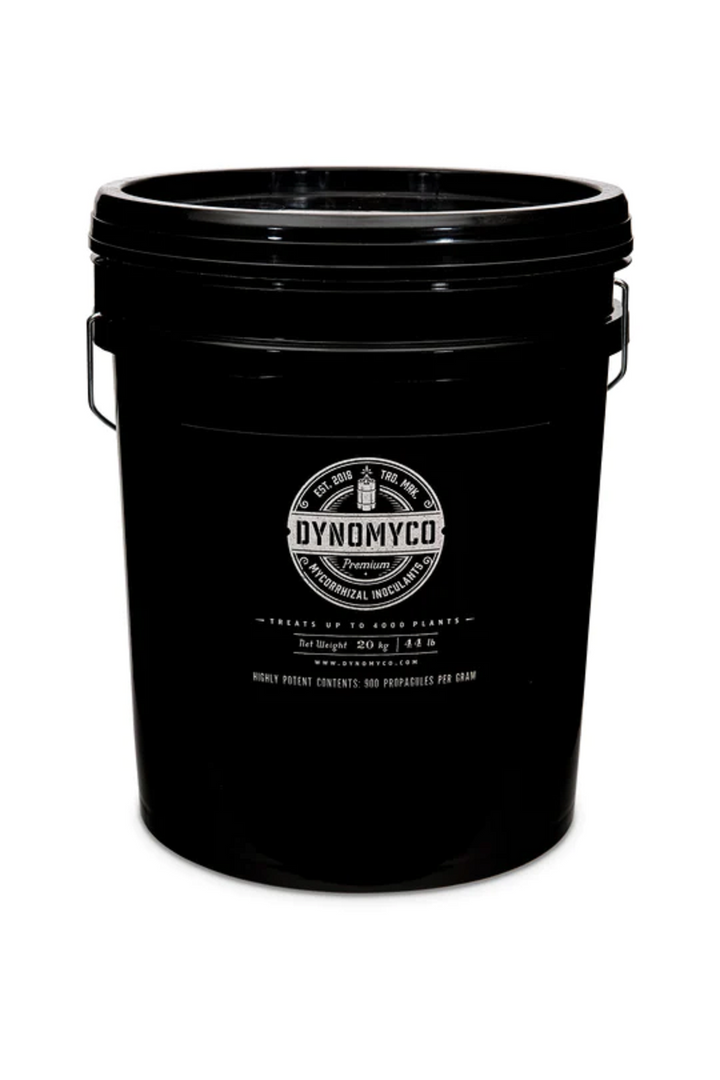 Mycorrhizae