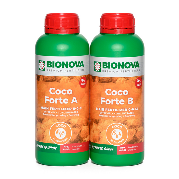 bionova coco forte kit 