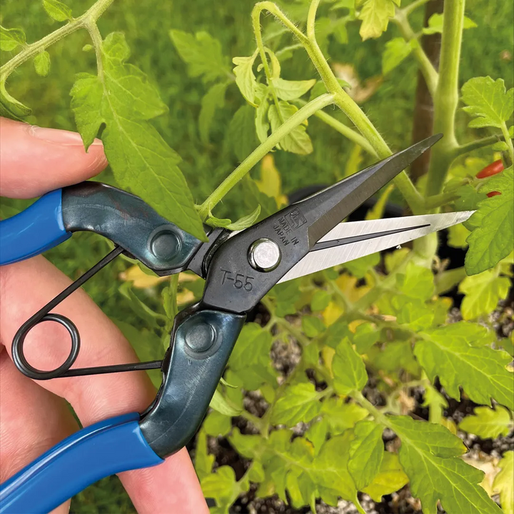 chikamasa t552 gardening shears 