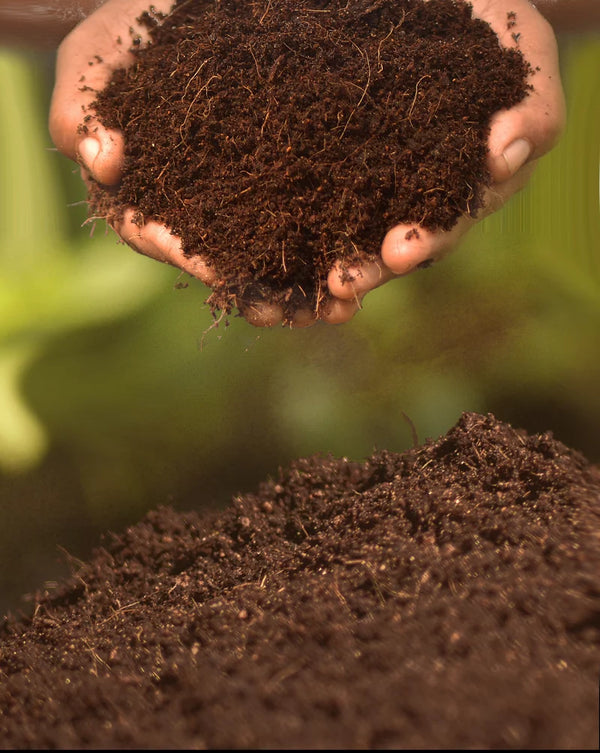Coco – Homegro Depot
