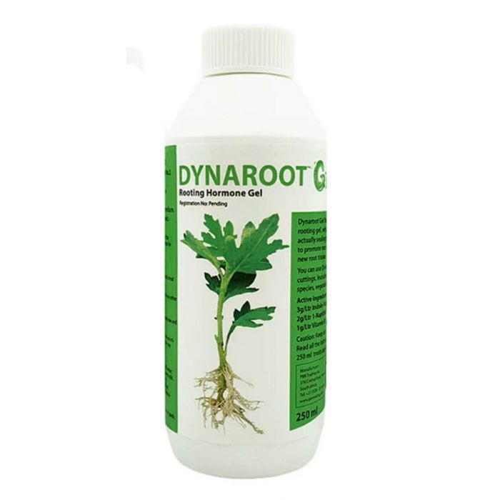 Dynaroot DynaRoot No.2 Rooting Gel - Semi-Hardwood Cuttings – Homegro Depot