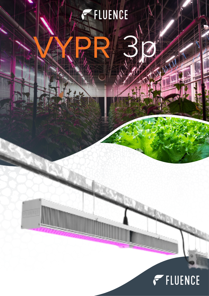 Fluence VYPR 3P LED Grow Light | LED Plant Toplight | Homegro Depot