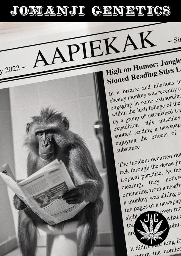 Apiekak (5 seeds plus 2 free)