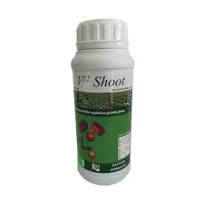 v12 shoot plant amino acid 