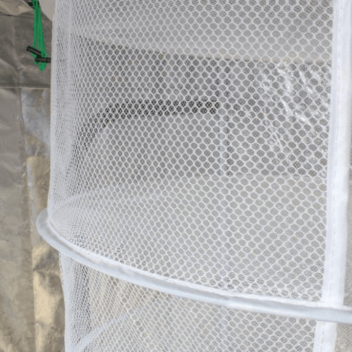 plant dry rack