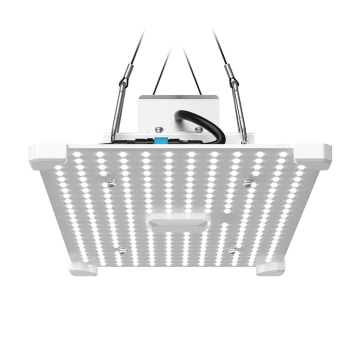 lumii black led grow light