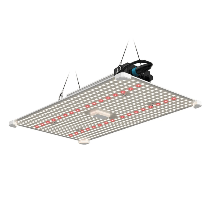 lumii black 200w led grow light 