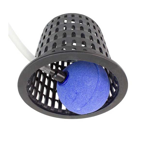 plantit diy air-cage