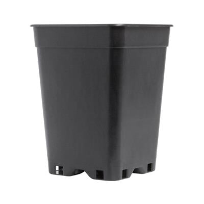 potking_square_plastic_pot_10cm