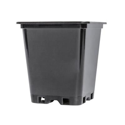 potking_square_plastic_pot_9cm