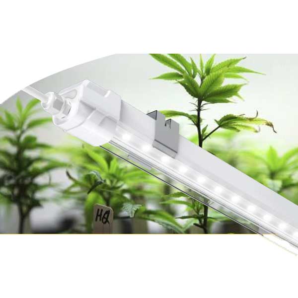smart grow light