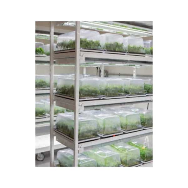 40w grow light