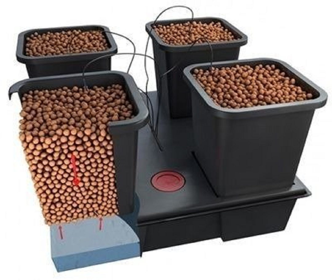 Wilma Hydroponic Growing System (11L Pots)