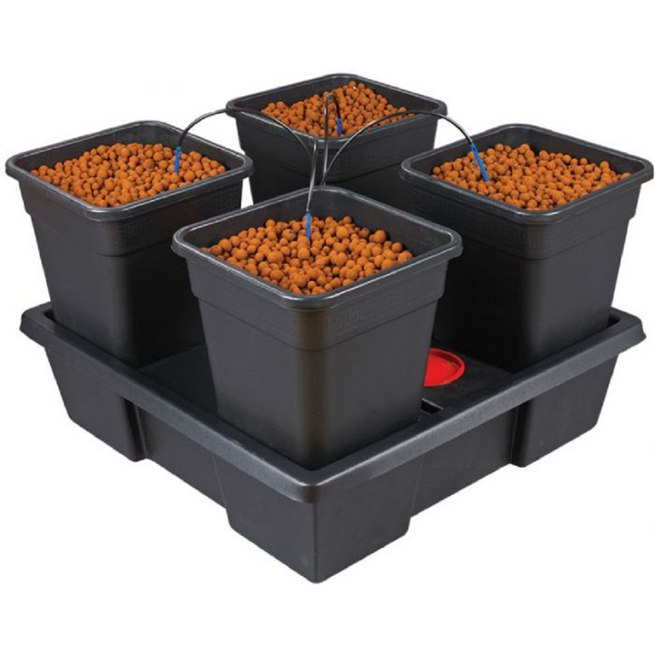 wilma hydroponic growing system