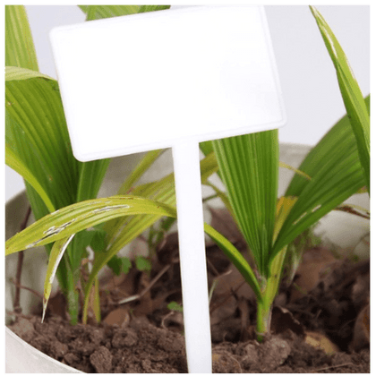 Angled Plastic Bed Markers - White - 26cm - Homegro Depot
