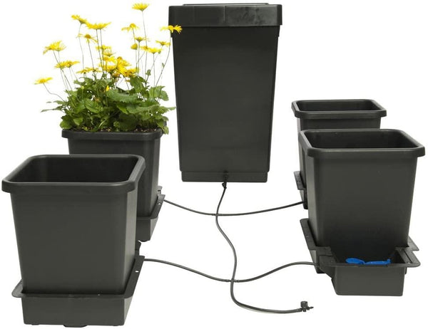 autopot growing system 