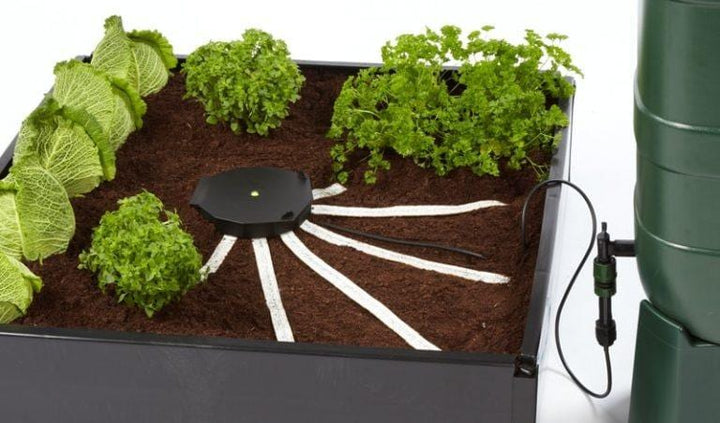 Autopot Aquabox Spyder - Homegro Depot