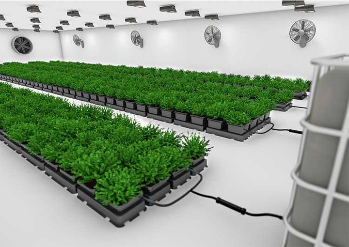 Easy2grow 40 Pot System - with 8.5L Pots - Homegro Depot