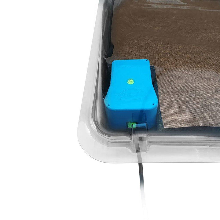 Easy2Propagate - Homegro Depot