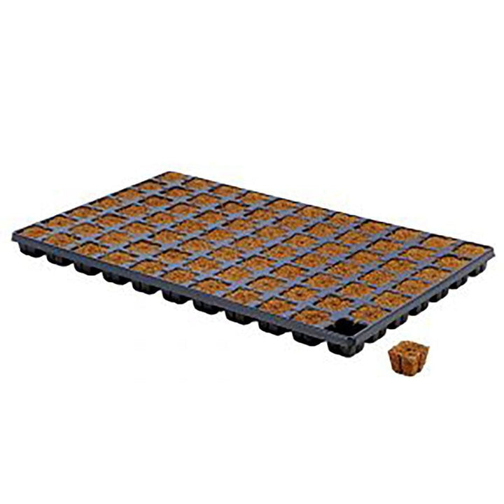 EazyPlug Tray - Homegro Depot