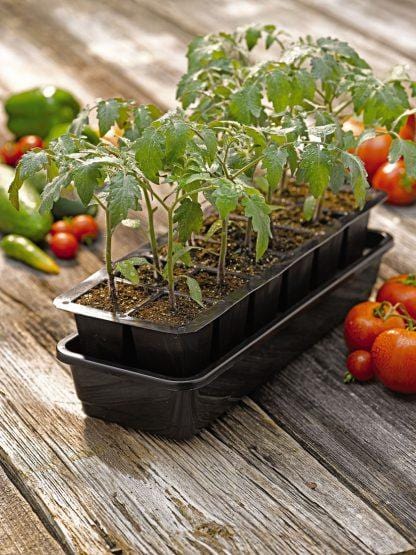 Garland Self Watering Propagator - Homegro Depot