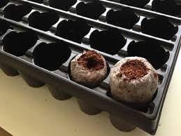 Jiffy 78 Cavity Performa Plug Tray - Homegro Depot