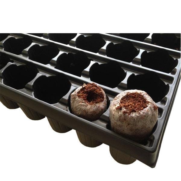Jiffy Cavity Rose Tray 40mmx60mm - 60 Cavity - Homegro Depot