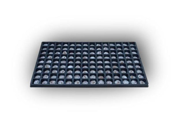 Jiffy Cavity Tray 60mm x 32mm - 32 Cavity - Homegro Depot