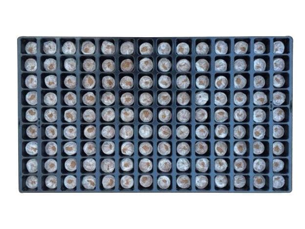 Jiffy Cavity Tray 60mm x 32mm - 32 Cavity - Homegro Depot