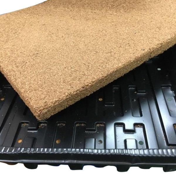 Jiffy Microgreen Grow Tray (30cmx40cm) - Homegro Depot