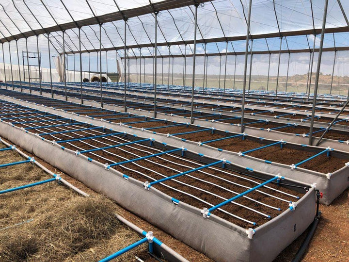 Raised Grow Beds - (With Trellis Extension) - Homegro Depot