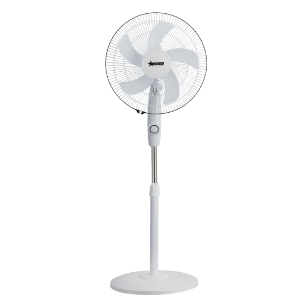 Rechargeable Oscillating Pedestal Fan