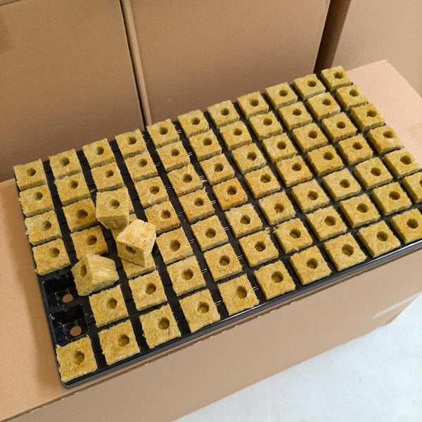 Rockwool 77 Plug Tray - Homegro Depot