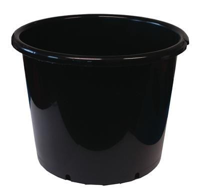 round black plastic pot 