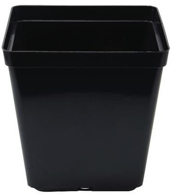 square plastic pot 