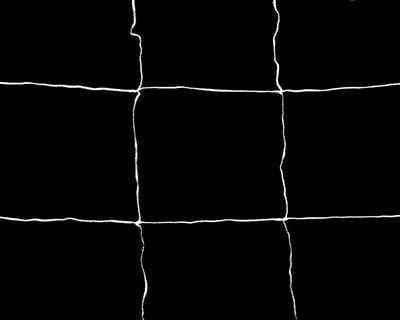 Trellis Netting - Homegro Depot
