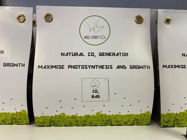 Wild Spirit Natural CO2 Generator - Homegro Depot
